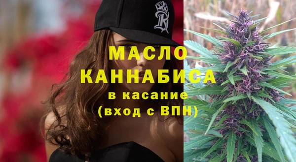 тгк Каменка
