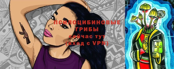 герыч Каменногорск