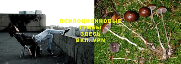 тгк Каменка