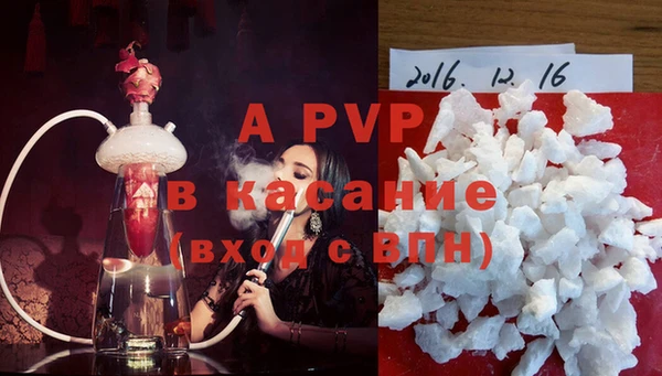 тгк Каменка