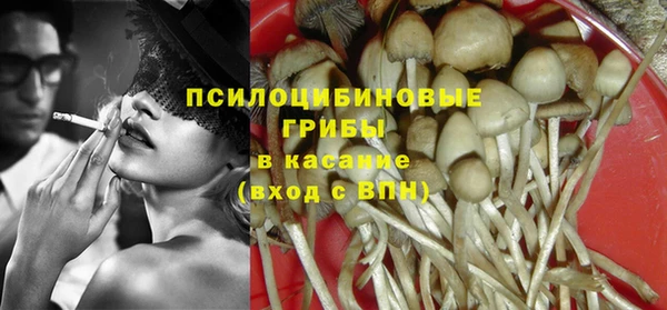 герыч Каменногорск