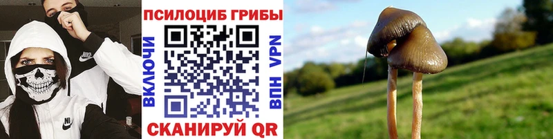 Галлюциногенные грибы Magic Shrooms  Кирс 